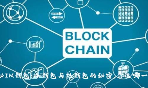 揭秘IM钱包：冷钱包与热钱包的秘密，你选哪一种？