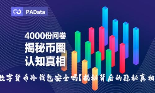 数字货币冷钱包安全吗？揭秘背后的隐秘真相！