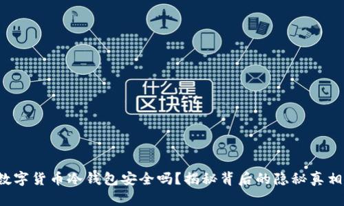 数字货币冷钱包安全吗？揭秘背后的隐秘真相！