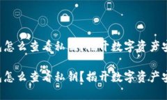 比特派钱包怎么查看私钥？揭开数字资产安全的