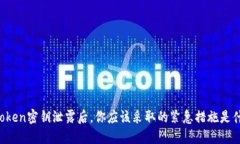 当Token密钥泄露后，你应该采取的紧急措施是什么