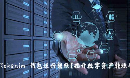 如何使用 Tokenim 钱包进行转账？揭开数字资产转账的神秘面纱