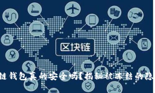 冷链钱包真的安全吗？揭秘被冻结的隐患！