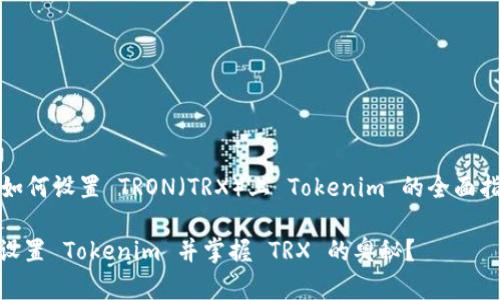 当然可以！下面是一个关于“如何设置 TRON（TRX）上 Tokenim 的全面指南”的内容结构和详细描述。

探索 TRON 网络：如何高效设置 Tokenim 并掌握 TRX 的奥秘？