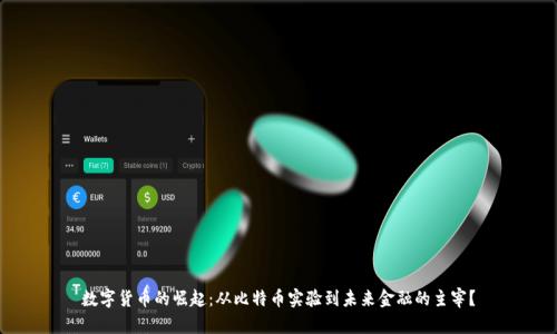 数字货币的崛起：从比特币实验到未来金融的主宰？