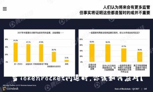 当TokenPocket闪退时，你该如何应对？