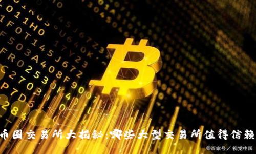 币圈交易所大揭秘：哪些大型交易所值得信赖？