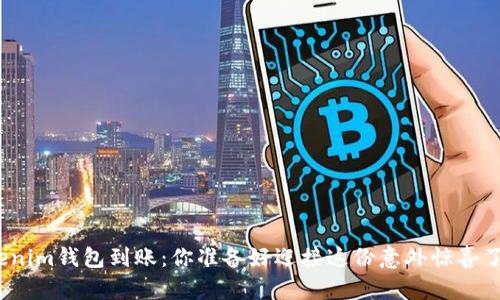 Tokenim钱包到账：你准备好迎接这份意外惊喜了吗？
