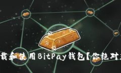 如何安全地下载和使用BitPay钱包？你绝对想不到