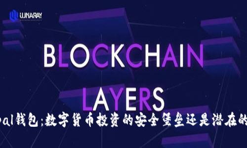 Safepal钱包：数字货币投资的安全堡垒还是潜在的隐患？
