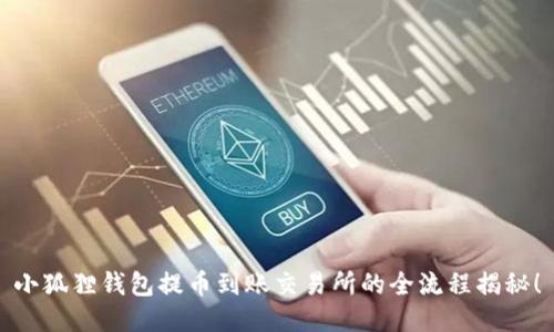 小狐狸钱包提币到账交易所的全流程揭秘！