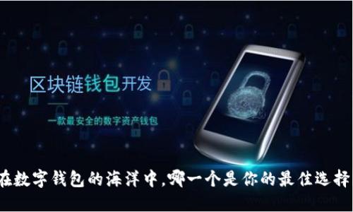 在数字钱包的海洋中，哪一个是你的最佳选择？