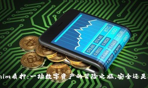 Tokenim质押：一场数字资产的冒险之旅，安全还是险滩？