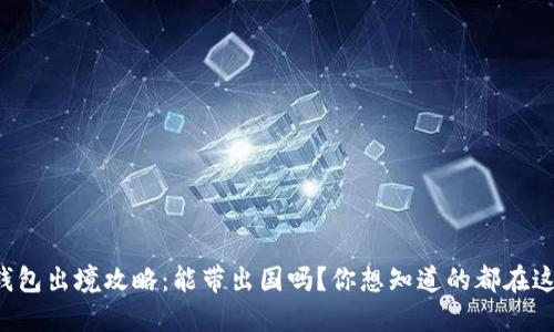 冷钱包出境攻略：能带出国吗？你想知道的都在这里！