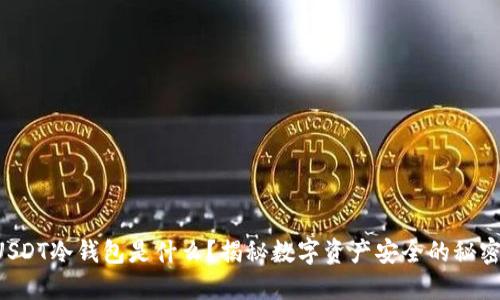 USDT冷钱包是什么？揭秘数字资产安全的秘密！
