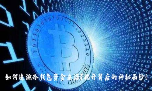 如何追溯冷钱包资金来源？揭开背后的神秘面纱！