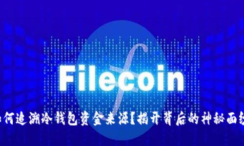 如何追溯冷钱包资金来源？揭开背后的神秘面纱！