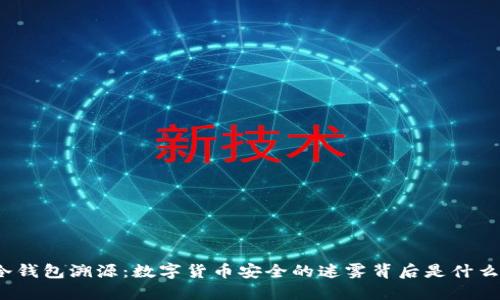冷钱包溯源：数字货币安全的迷雾背后是什么？