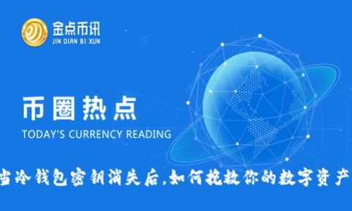 当冷钱包密钥消失后，如何挽救你的数字资产？