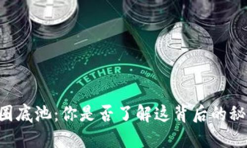 币圈底池：你是否了解这背后的秘密？