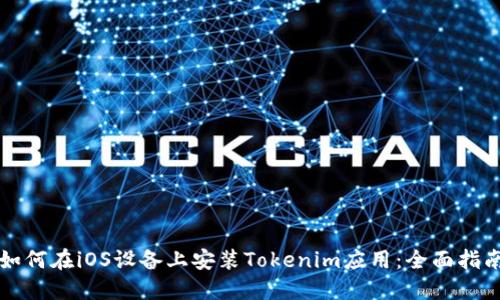 如何在iOS设备上安装Tokenim应用：全面指南