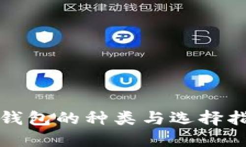 冷钱包的种类与选择指南