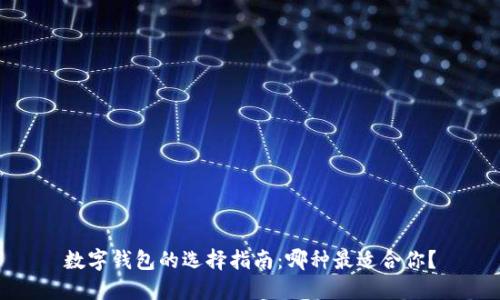 数字钱包的选择指南：哪种最适合你？