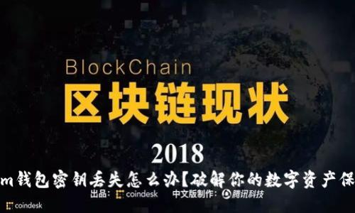 Tokenim钱包密钥丢失怎么办？破解你的数字资产保护之道