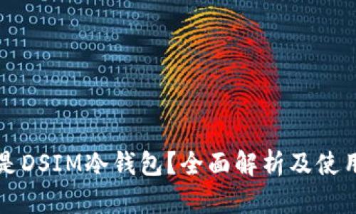 什么是DSIM冷钱包？全面解析及使用指南