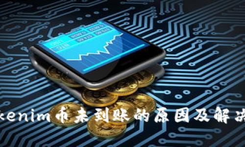 : Tokenim币未到账的原因及解决方法