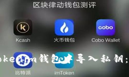 如何在Tokenim钱包中导入私钥：完整指南
