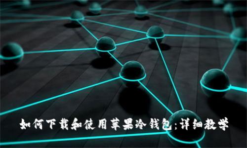 如何下载和使用苹果冷钱包：详细教学