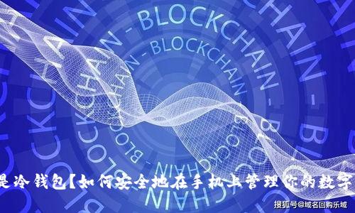 什么是冷钱包？如何安全地在手机上管理你的数字资产？