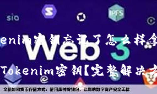 下面是关于“tokenim密钥忘记了怎么样拿回”的内容构思。

如何找回忘记的Tokenim密钥？完整解决方案分享