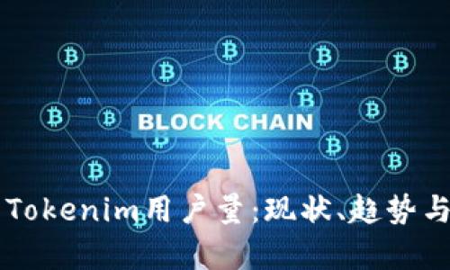 深入分析Tokenim用户量：现状、趋势与未来展望